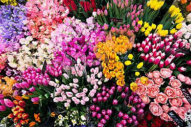  《匹诺曹的谎言》国区开发者模式线下体验活动开启 