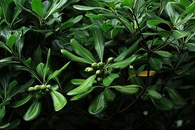 《星际：异端先知》女演员回击批评：兄弟们，你们都疯了吗